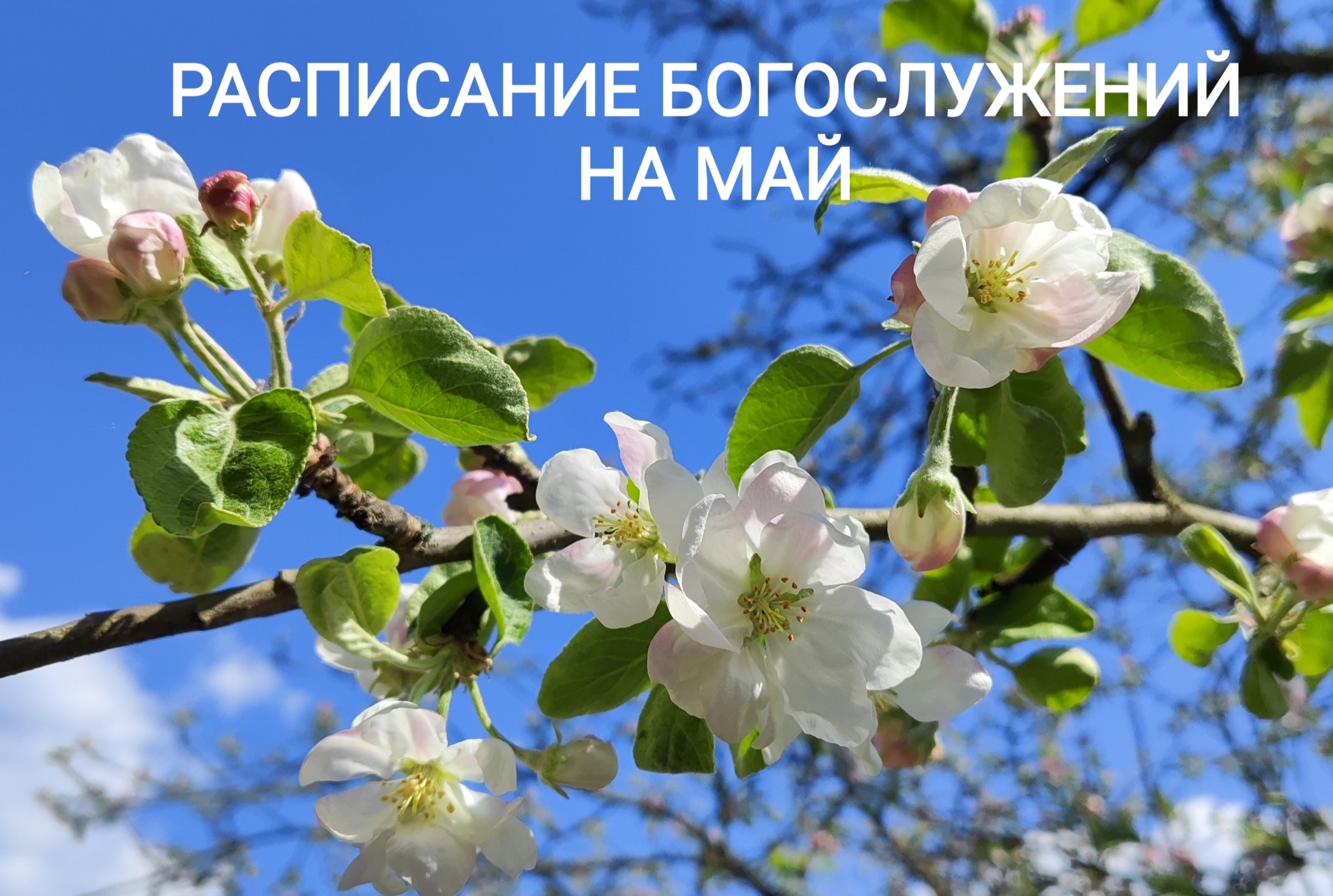 Расписание Богослужений на май